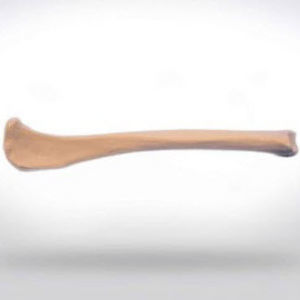 modelo anatómico de tibia