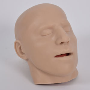 modelo anatómico de piel