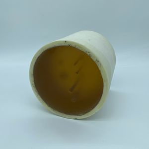 fantoma de prueba para IRM