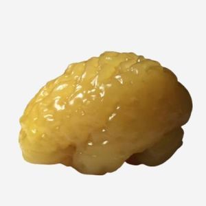 fantoma de prueba para radiología