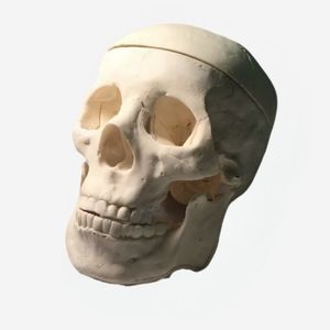 fantoma de prueba para radiología