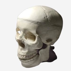 fantoma de prueba para radiología