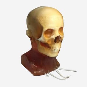 fantoma de prueba para radiología