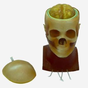 fantoma de prueba para radiología