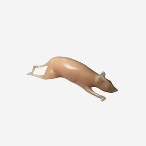 fantoma para prueba veterinaria para escáner de rayos X