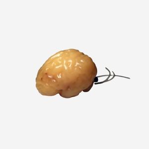 fantoma de prueba para radiología
