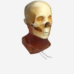fantoma de prueba para radiología