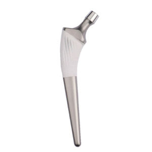 vástago femoral no cementado