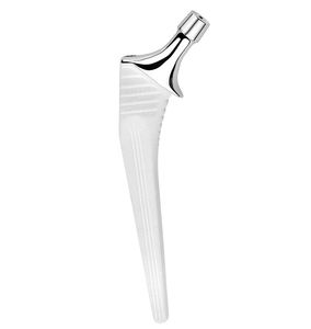 vástago femoral no cementado