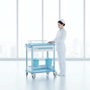 carro de hospital 1