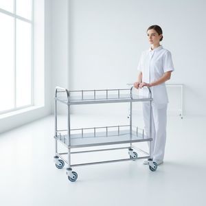 carro de hospital 1