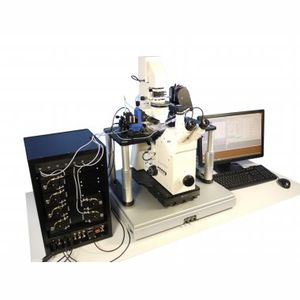 sistema patch-clamp automática