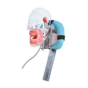 maniquí de prácticas para odontología