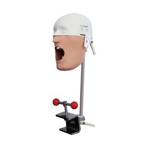 maniquí de prácticas para higiene dental