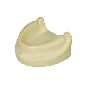 modelo anatómico para odontología 1