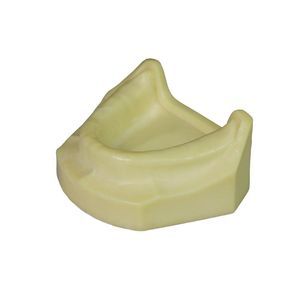 modelo anatómico para odontología 1