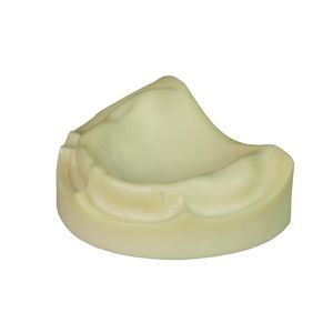 modelo anatómico para odontología 1