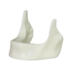 modelo anatómico de mandíbula 1