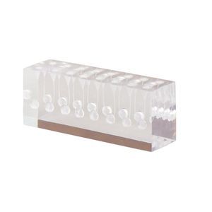 modelo anatómico de dientes 1
