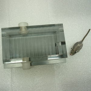 cámara de inducción de anestesia veterinaria