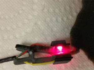 sensor de temperatura 1