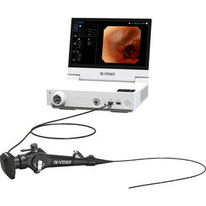 gastroscopio veterinario vídeo 1