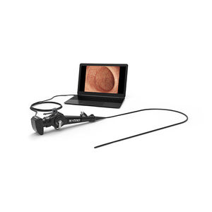 gastroscopio veterinario vídeo 1