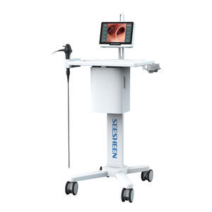 videobroncoscopio pediátrico