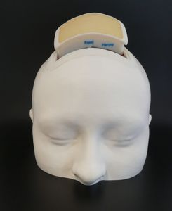simulador de neurocirugía
