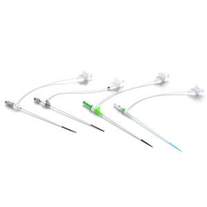 vaina de acceso femoral