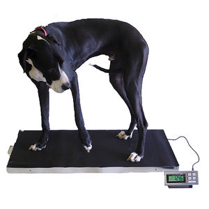 balanza veterinaria electrónica / con indicador digital / plataforma