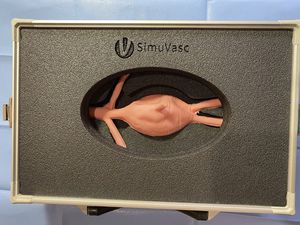 simulador de aneurisma de aorta abdominal