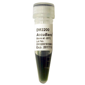 reactivo de laboratorio enzima / marcador de peso molecular / gel de agarosa / colorante