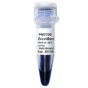reactivo tampón de carga / para microbiología / para biología molecular / de proteínas