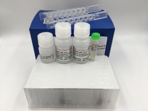 kit de reactivos para purificación de ARN 1