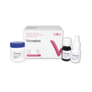 material dental de resina