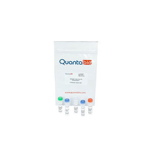 kit de reactivos retrotranscriptasa 1