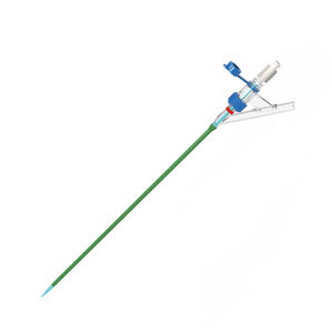 vaina de acceso ureteral 1