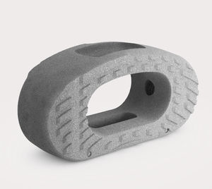 caja intersomática lumbar