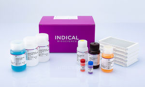 kit de prueba de enfermedades respiratorias