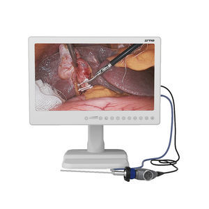 gastroscopio veterinario vídeo