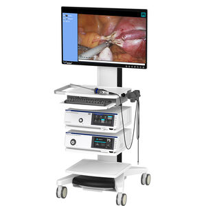 columna de endoscopia para imágenes médicas en 3D