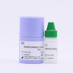 kit de reactivos anticuerpos 1