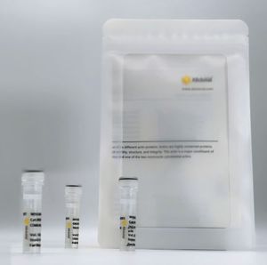 reactivo anticuerpo monoclonal