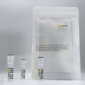 kit de prueba para COVID-19