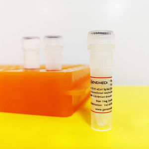 reactivo anticuerpo monoclonal