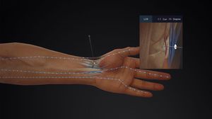 software de anatomía