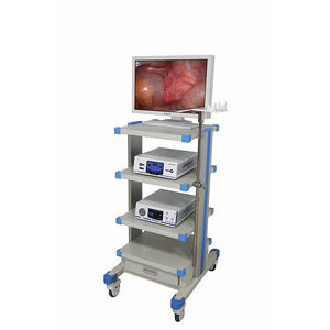 cámara para endoscopio