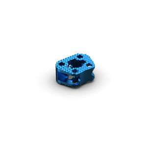 caja intersomática cervical 1