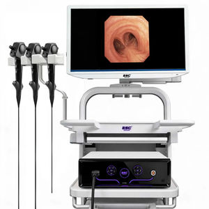procesador de vídeo para endoscopia